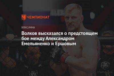 Александр Волков - Александр Емельяненко - Волков высказался о предстоящем бое между Александром Емельяненко и Ершовым - championat.com - Россия