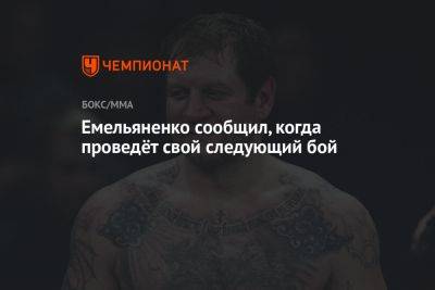 Александр Емельяненко - Владимир Хрюнов - Емельяненко сообщил, когда проведёт свой следующий бой - championat.com - Москва