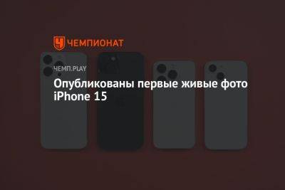 Опубликованы первые живые фото iPhone 15 - championat.com