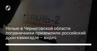 Ночью в Черниговской области пограничники приземлили российский дрон-камикадзе – видео - liga.net - Россия - Украина - Киев - Черниговская обл.