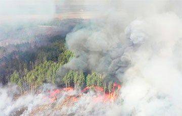 За прошедшие сутки в Беларуси произошло 10 лесных пожаров - charter97.org - Белоруссия - Бобруйск