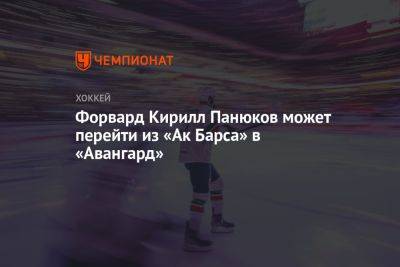 Кирилл Панюков - Форвард Кирилл Панюков может перейти из «Ак Барса» в «Авангард» - championat.com
