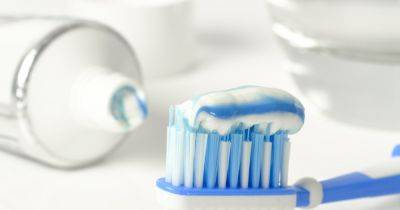 Как часто нужно менять зубную щетку? Мнение эксперта - focus.ua - Украина