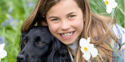 принц Уильям - Кейт Миддлтон - принцесса Шарлотта - С собакой. Принц Уильям и Кейт Миддлтон показали еще одно фото 8-летней принцессы Шарлотты - nv.ua - Украина