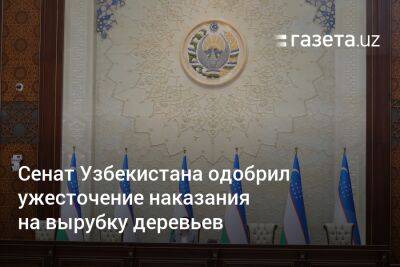 Танзила Нарбаева - Сенат Узбекистана одобрил ужесточение наказания на вырубку деревьев - gazeta.uz - Узбекистан