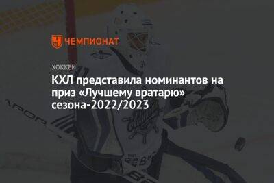 Никита Серебряков - КХЛ представила номинантов на приз «Лучшему вратарю» сезона-2022/2023 - championat.com