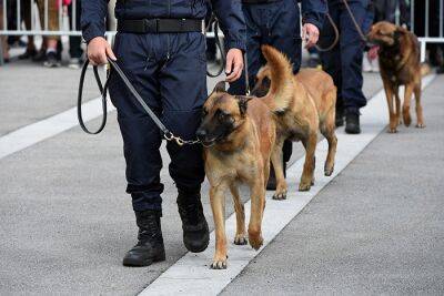 Полиция провела масштабную операцию в связи с угрозой атаки на ICE 681 - rusverlag.de