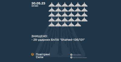 Ночью над Украиной сбили 29 из 31 запущенного РФ «Шахеда»: подробности от ВСУ - objectiv.tv - Россия - Украина - Киев - Днепропетровская обл.