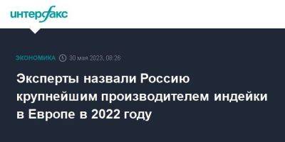 Эксперты назвали Россию крупнейшим производителем индейки в Европе в 2022 году - smartmoney.one - Москва - Россия - Китай - США - Германия - Франция - Польша - Испания - Саудовская Аравия - Чили