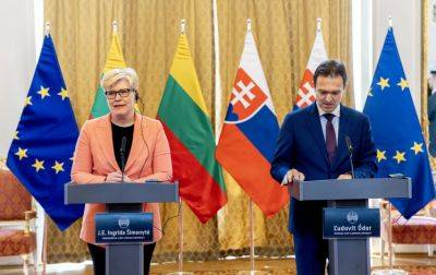 Ингрида Шимоните - Шимоните обсудила с премьером Словакии поддержку Украины, саммит НАТО в Вильнюсе - obzor.lt - Россия - Украина - Литва - Вильнюс - Словакия