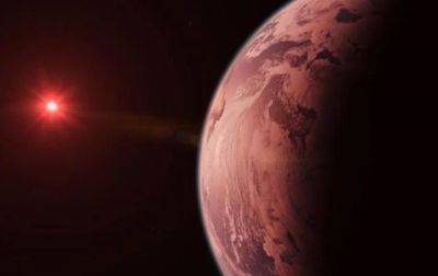 На планетах в Млечном пути может быть внеземная жизнь - ученые - korrespondent.net - США - Украина - шт.Флорида