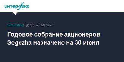 Годовое собрание акционеров Segezha назначено на 30 июня - smartmoney.one - Москва