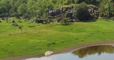 Построили 3200 лет назад: в парке Ирландии за деревьями скрывалась древняя крепость (фото) - focus.ua - Украина - Египет - Ирландия - Находка