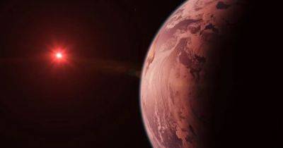 На 30% планет в Млечном Пути может быть внеземная жизнь: что выяснили ученые - focus.ua - США - Украина - шт.Флорида