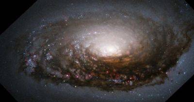 Вселенная - Галактика Черный глаз. Ученые нашли объяснение ее зловещему "взгляду": это ждет и Млечный Путь - focus.ua - Украина