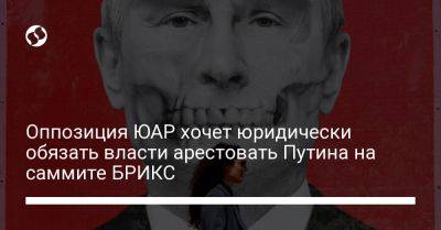 Владимир Путин - Оппозиция ЮАР хочет юридически обязать власти арестовать Путина на саммите БРИКС - liga.net - Россия - Украина - Судан - Юар - Мали
