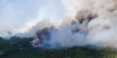 Масштабный лесной пожар в Канаде уничтожил около 200 зданий - nv.ua - Украина - Канада - Canada - провинция Новая Шотландия