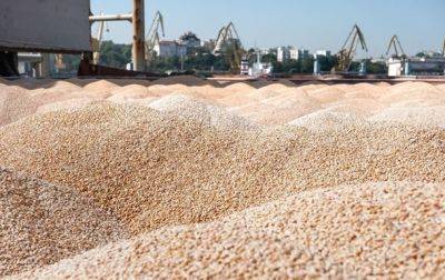 Зерновой экспорт Украины превысил 45 млн тонн - korrespondent.net - Украина - Аграрии