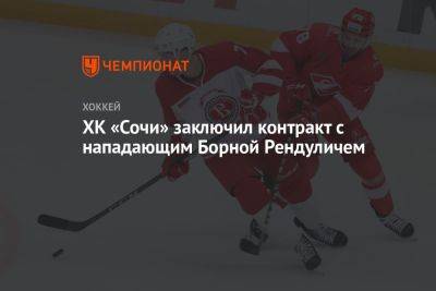 ХК «Сочи» заключил контракт с нападающим Борной Рендуличем - championat.com - Сочи - Московская обл.