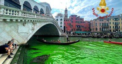 От террористов до ядовитых химикатов: почему воды Венеции стали неоново-зелеными - focus.ua - Украина - Экология