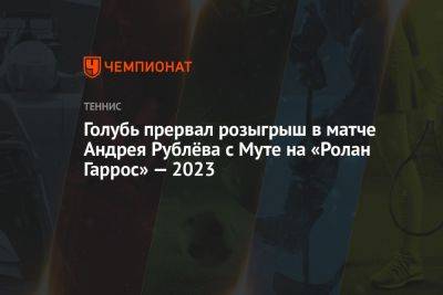 Андрей Рублев - Голубь прервал розыгрыш в матче Андрея Рублёва с Муте на «Ролан Гаррос» — 2023 - championat.com - Россия