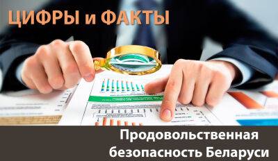 Цифры и факты: продовольственная безопасность Беларуси многократно укрепилась - produkt.by - Белоруссия