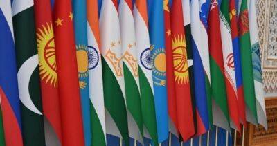 Сироджиддин Мухриддин - Делегация Таджикистана принимает участие в заседании Совета министров иностранных дел ШОС в Гоа - dialog.tj - Индия - Таджикистан