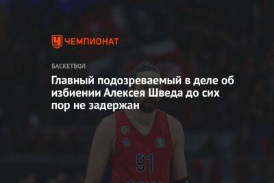Алексей Швед - Главный подозреваемый в деле об избиении Алексея Шведа до сих пор не задержан - championat.com - Москва - Россия