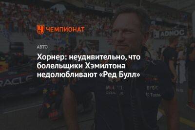 Максим Ферстаппен - Кристиан Хорнер - Хорнер: неудивительно, что болельщики Хэмилтона недолюбливают «Ред Булл» - championat.com - Англия