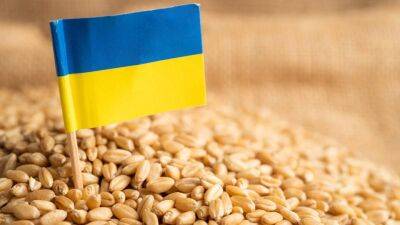 Тарас Качка - Польский запрет на импорт зерна стоил Украине $143 миллиона — Минэкономики - minfin.com.ua - Украина - Киев - Польша