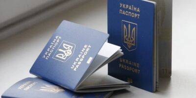 Тарас Креминь - Языковой омбудсмен предложил убрать из паспортов старого образца русский язык - nv.ua - Украина