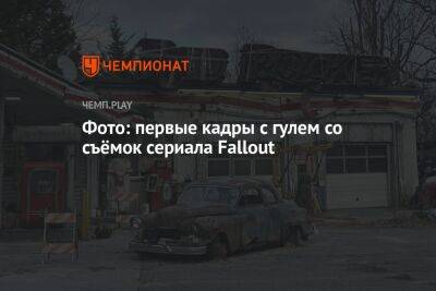 Лариса Крофт - Фото: первые кадры с гулем со съёмок сериала Fallout - championat.com - Twitter