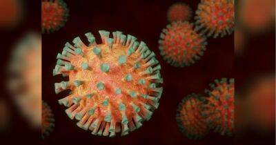 Рэй Кристофер - Игорь Кузин - ВОЗ официально объявила об окончании пандемии коронавируса - fakty.ua - США - Украина