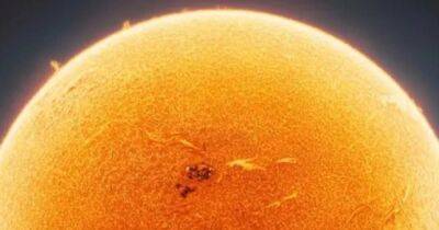 На снимке Солнца виден искусственно созданный объект: что это (фото) - focus.ua - Украина