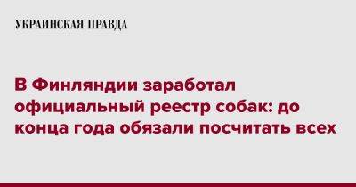 В Финляндии заработал официальный реестр собак: до конца года обязали посчитать всех - pravda.com.ua - Финляндия