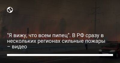 "Я вижу, что всем пипец". В РФ сразу в нескольких регионах сильные пожары – видео - liga.net - Россия - Украина - Челябинская обл. - Свердловская обл. - Курганская обл.