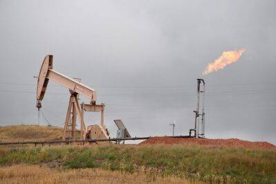 Австралийская компания нашла нефть и газ в Зимбабве - unn.com.ua - Украина - Киев - Австралия - Зимбабве - Мозамбик