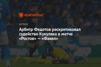 Евгений Кукуляк - Игорь Федотов - Михаил Рождественский - Арбитр Федотов раскритиковал судейство Кукуляка в матче «Ростов» — «Факел» - championat.com