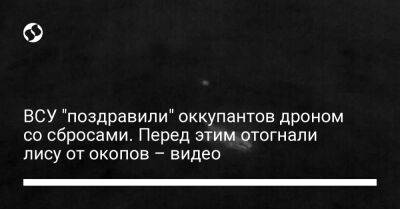 ВСУ "поздравили" оккупантов дроном со сбросами. Перед этим отогнали лису от окопов – видео - liga.net - Украина