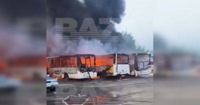 Сгорели более 30 автобусов и машин: в российском Ногинске подожгли стоянку (видео) - focus.ua - Москва - Россия - Украина - Ногинск