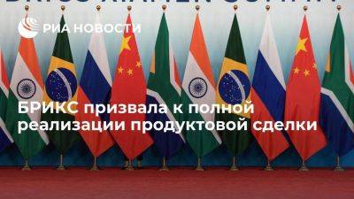 БРИКС призвала к реализации зерновой сделки и меморандума о поставках продукции из России - smartmoney.one - Россия