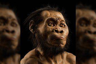 Homo naledi хоронили своих умерших за 100 000 лет до того, как это сделали современные люди - obzor.lt - Юар