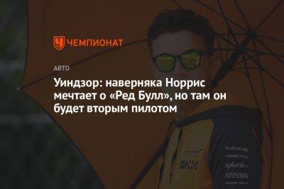 Максим Ферстаппен - Уиндзор: наверняка Норрис мечтает о «Ред Булл», но там он будет вторым пилотом - championat.com