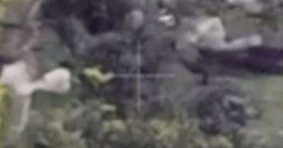 Разведали дроном и засыпали гранатами: пограничники уничтожили позиции ВС РФ (видео) - focus.ua - Россия - Украина