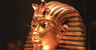 Загадка фараона Тутанхамона: ученые назвали новую причину смерти правителя Древнего Египта - focus.ua - Украина - Египет
