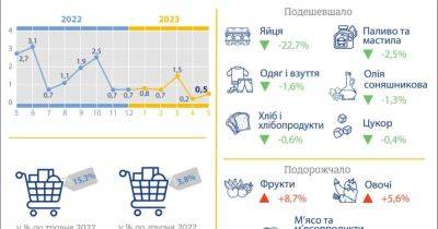 Пищевые продукты в Украине подорожали в разы, — Госстат - dsnews.ua - Украина