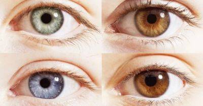 Очень особенные люди. Ученые назвали самый редкий цвет глаз на Земле - focus.ua - США - Украина