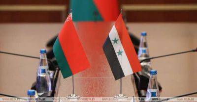 Belarus, Syria discuss cooperation in transport sector - udf.by - Сирия - Belarus