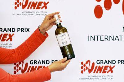 В Чехии выбрали победителей престижного конкурса вин Grand Prix Vinex 2023 - vinegret.cz - Австрия - Италия - Германия - Венгрия - Чехия - Словакия - Виноград