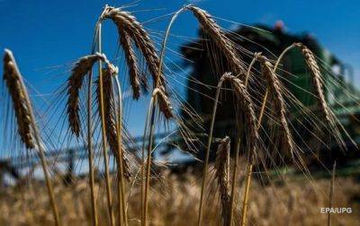 США улучшили прогноз урожая и экспорта украинской пшеницы и кукурузы - korrespondent.net - Россия - США - Украина - Индия